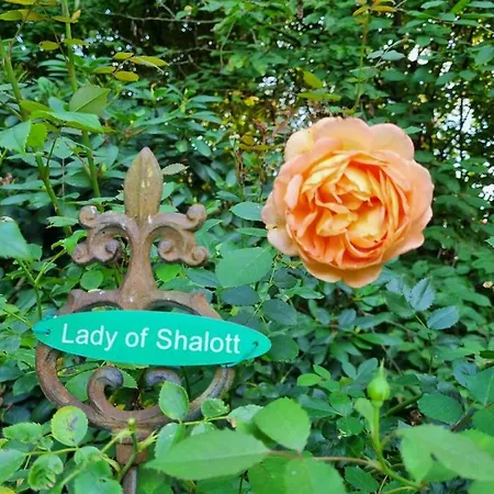 Bed & Breakfast Dressings Traumgarten Kaiserslautern