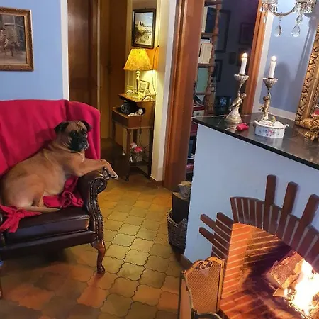 Dressings Traumgarten