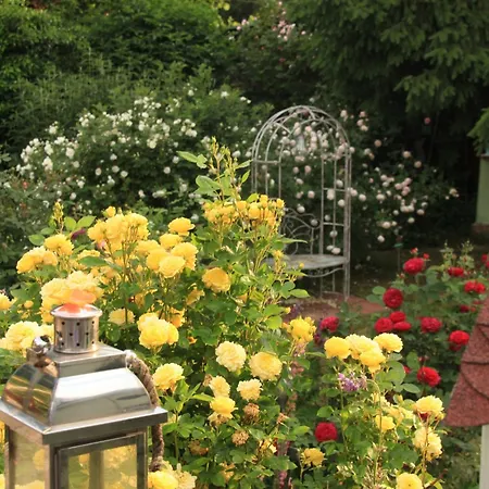 Dressings Traumgarten Bed & Breakfast 3*