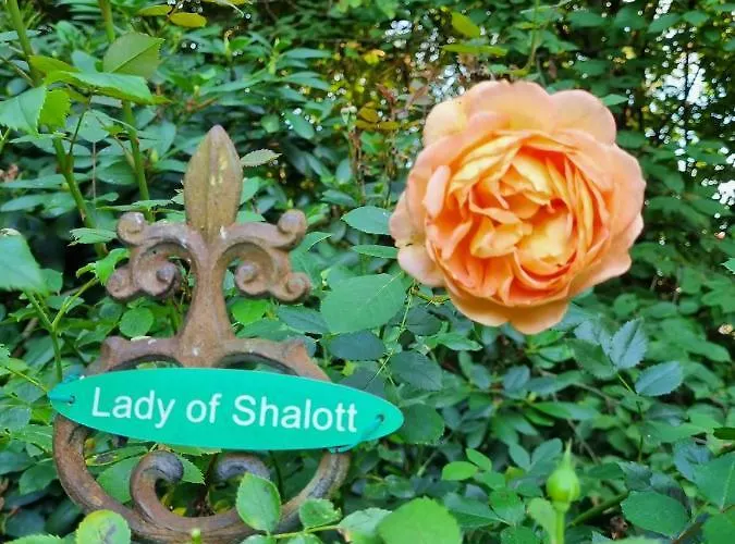 Frühstückspension Dressings Traumgarten Kaiserslautern