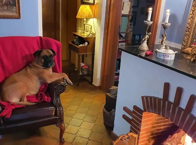 Dressings Traumgarten