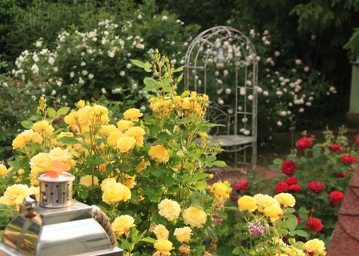 Dressings Traumgarten Frühstückspension 3*