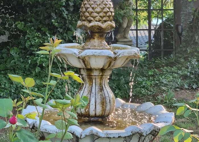 Dressings Traumgarten 3* Kaiserslautern